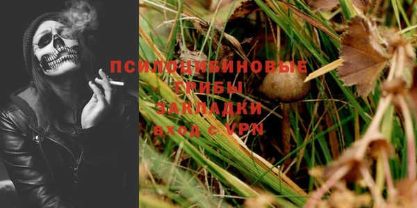 apvp Алексин